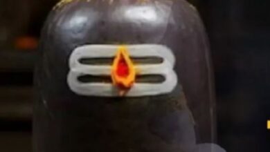 Photo of मोक्षदा एकादशी के दिन शिवलिंग पर चढ़ाएं ये चीजें