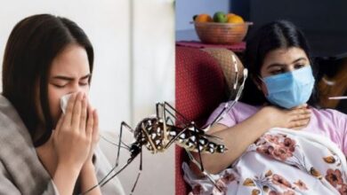 Photo of वायरल और डेंगू बुखार में क्या है अंतर? ऐसे करे पहचान