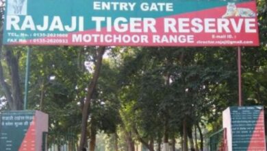 Photo of देहरादून: सैलानियों के लिए खुलेगा राजाजी टाइगर रिजर्व पार्क