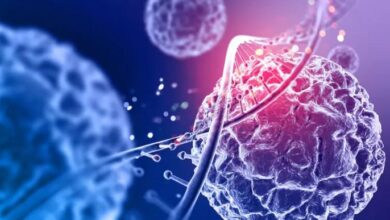 Photo of महिलाओं से ज्यादा पुरुष हो रहे हैं कैंसर का शिकार
