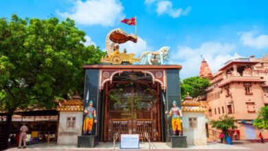 Photo of नए साल पर लें बांके-बिहारी का आशीर्वाद, जानिए दिल्ली से मथुरा- वृंदावन की यात्रा कैसे करें?