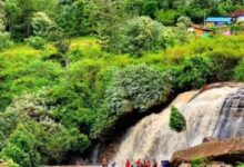 Photo of किसे कहते हैं ‘केरल का कश्मीर’? जानिए कैसे घूमें यहां