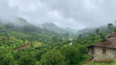 Photo of साउथ इंडिया के इस हिल स्टेशन को कहते हैं ‘केरल का कश्मीर’