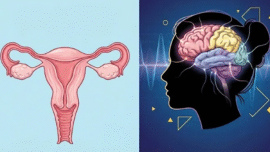 Photo of सिर्फ हॉर्मोन्स नहीं, दिमाग पर भी असर डालता है मेनोपॉज