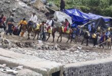 Photo of केदारनाथ यात्रा से पहले घोड़ा-खच्चरों का पंजीकरण शुरू