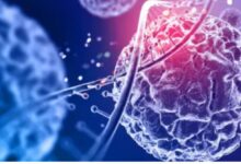 Photo of कैंसर के इलाज में बड़ी कामयाबी: IIT बॉम्बे ने खोजा टी-सेल्स को सुरक्षित रखने का नया तरीका