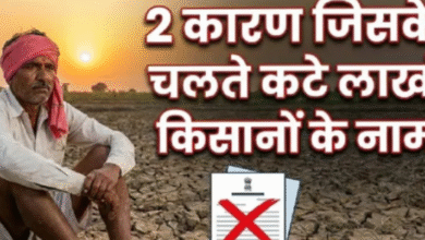 Photo of  22वीं किस्त के इंतजार के बीच लाखों किसानों के नाम कटे, कारण चल गया पता