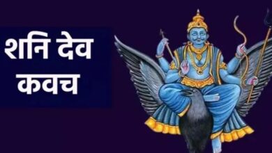 Photo of शरीर के हर अंग की रक्षा करता है यह एक कवच?