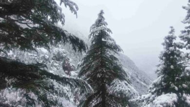 Photo of आज भी बिगड़ा रहेगा मौसम, भारी बारिश-बर्फबारी की चेतावनी