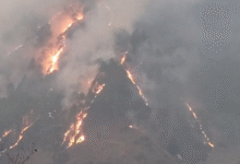 Photo of थराली के जंगलों में भीषण आग: 20 हेक्टेयर से अधिक क्षेत्र जलकर खाक