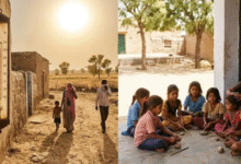 Photo of क्या मौसम का मिजाज तय कर रहा है प्रेग्नेंसी में बच्चे का जेंडर?